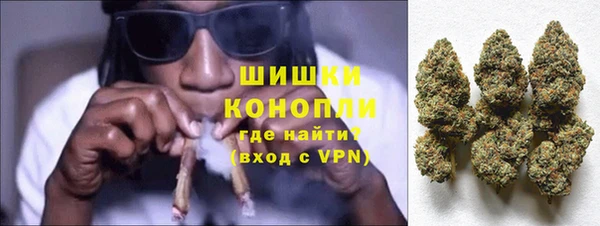 шишки Нея