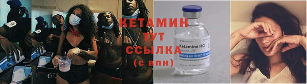 шишки Нея