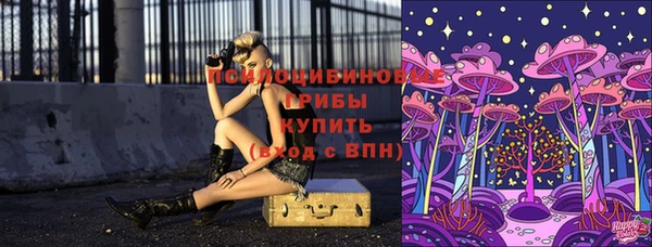 шишки Нея