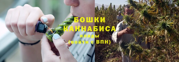 шишки Нея