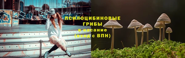 эйфоретик Нефтекумск